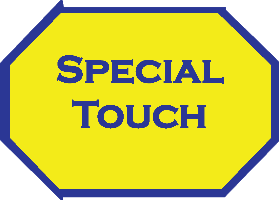Special_Touch Logo
